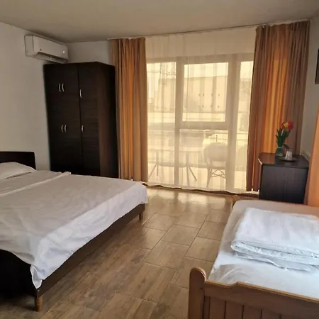 Pensiune Pensiunea Rubin 3*